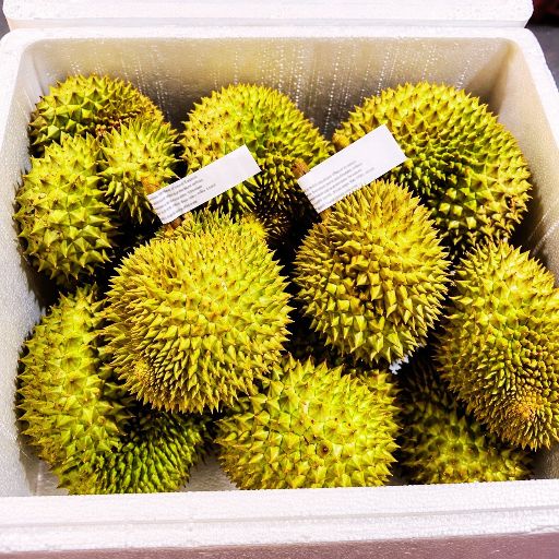 Durian 1 Pice