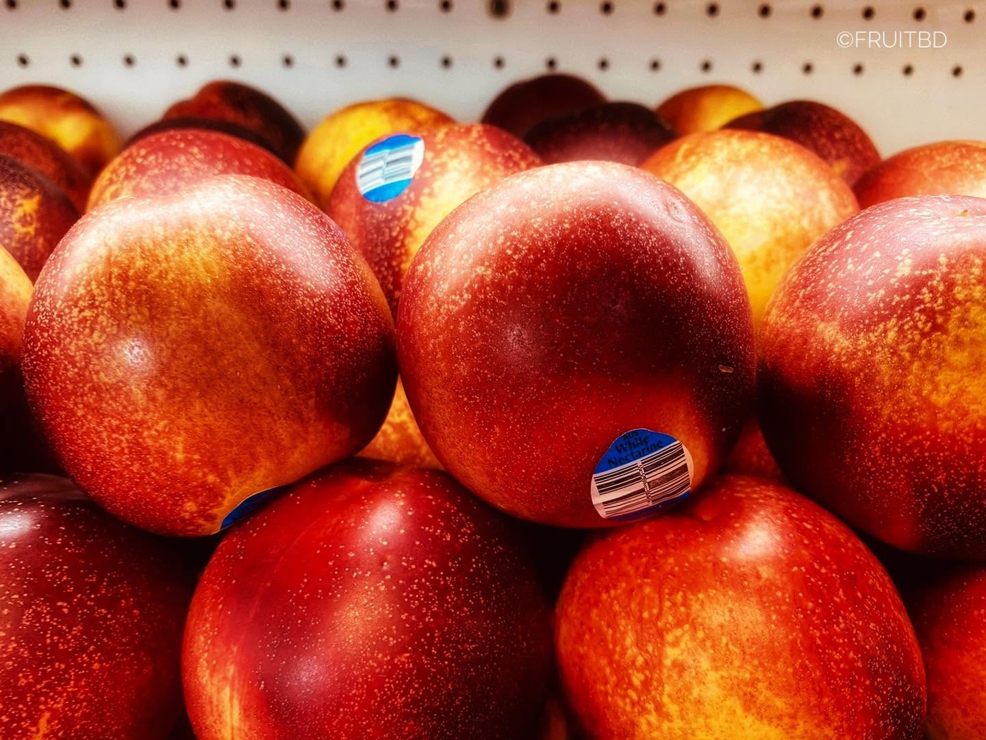 Premium Apple (Australian)
