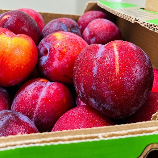 Juicy  Red Plum